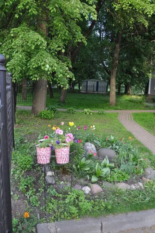 ЗАПАДНАЯ