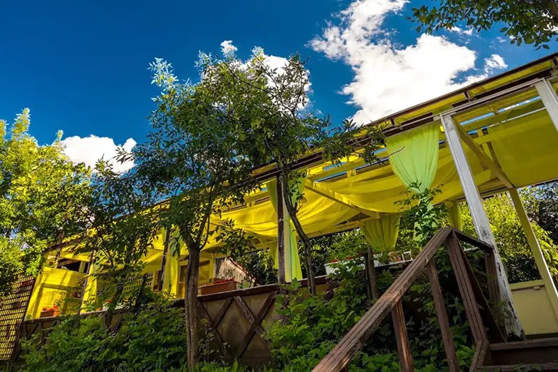 FORESTA FESTIVAL PARK (ФОРЕСТА ФЕСТИВАЛЬ ПАРК)