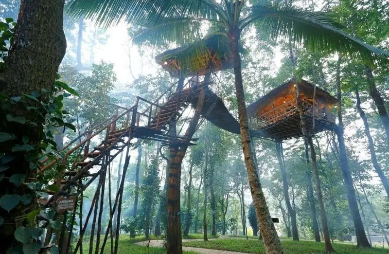 GREEN WOODS RESORT