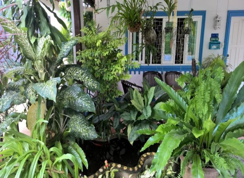 MUCHSHIMA HOUSE