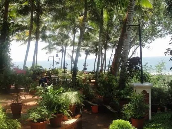 SHIN SHIVA AYURVEDA ASHRAM