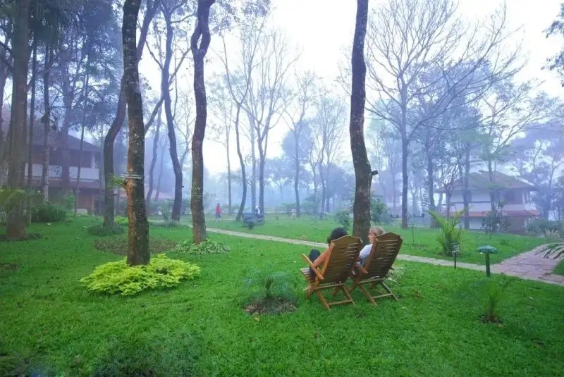 GREEN WOODS RESORT