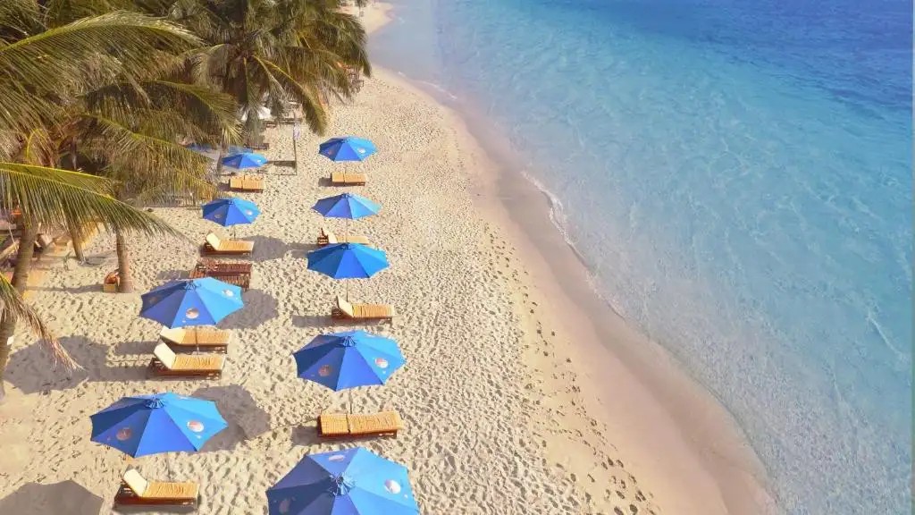 ORANGE RESORT