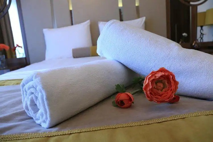 BURCMAN HOTEL VISNE