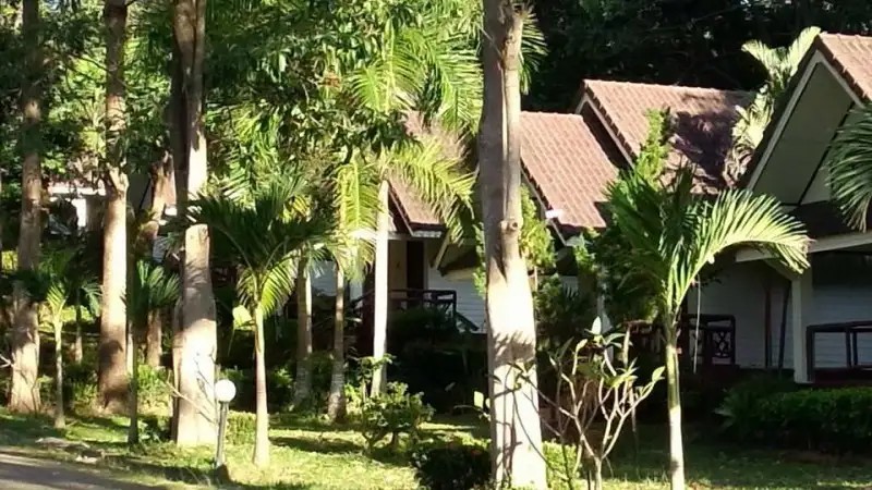 LANTA MANDA