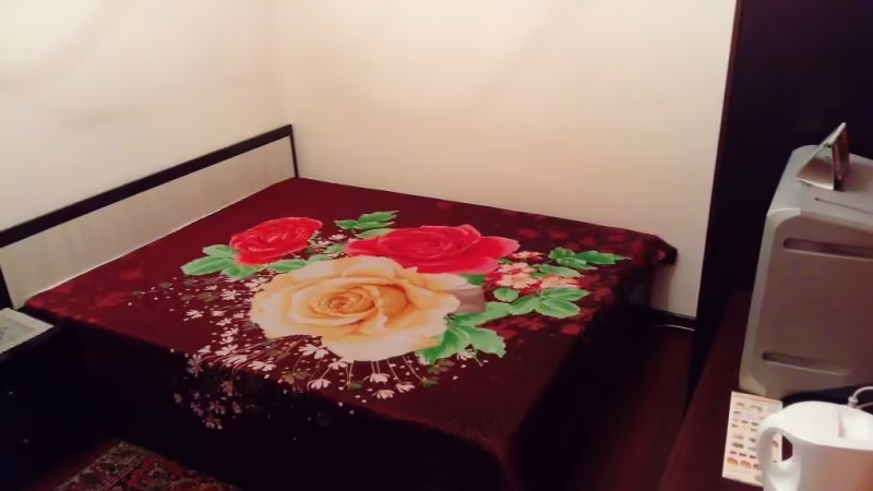 ГОСТЕВОЙ ДОМ ПРОФСОЮЗНЫЙ
