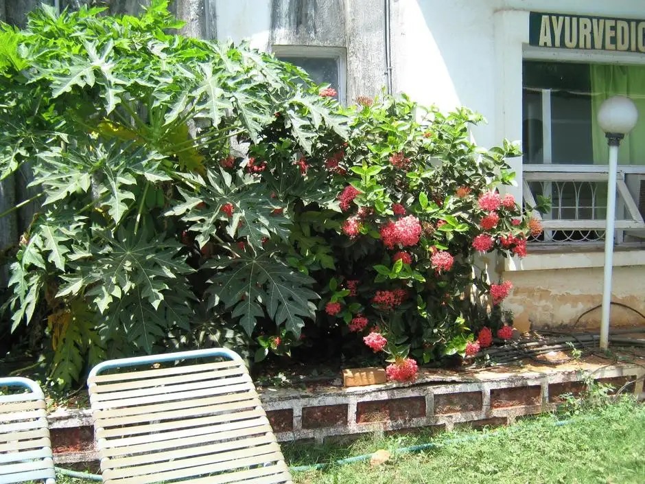 VINCY BEACH RESORT