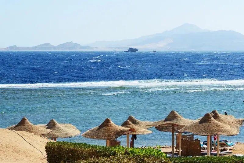 BLUE REEF NAAMA BAY