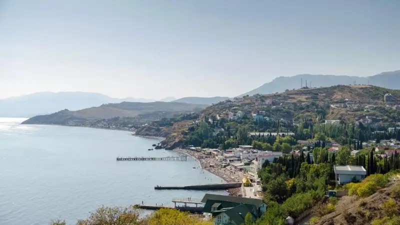ЧАЙКА МАЛОРЕЧЕНСКОЕ