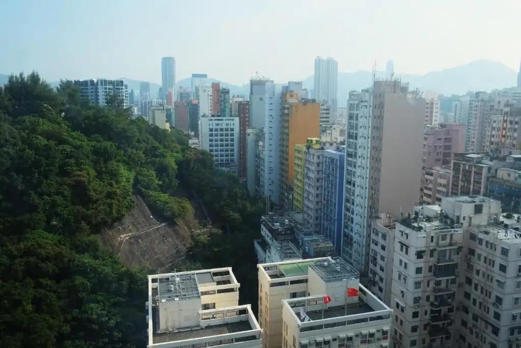 THE CITY VIEW