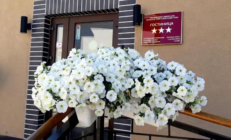 ГЕРКУЛЕС СОВЕТСК