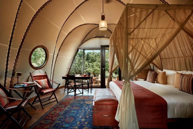 cocoon suite
