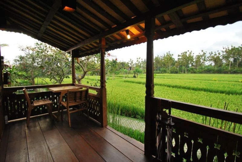 1 bedroom wooden villa (bale villa)