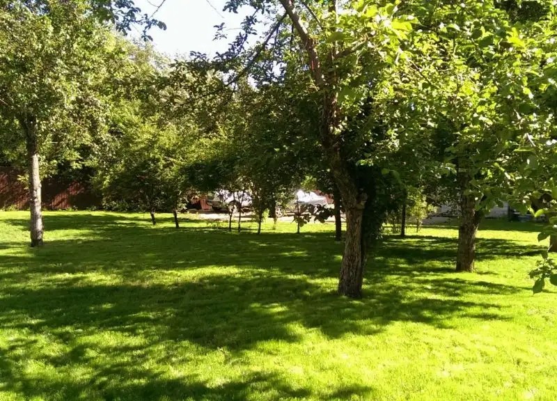 БЕРКАНА