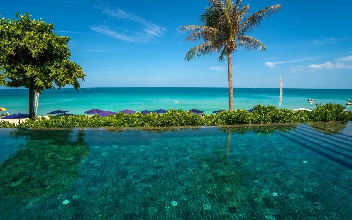 SYNERGY SAMUI