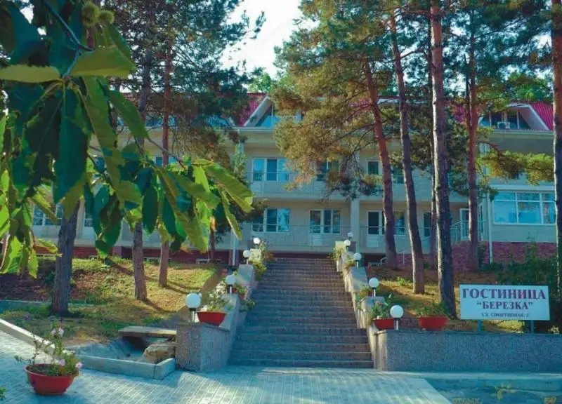 БЕРЕЗКА