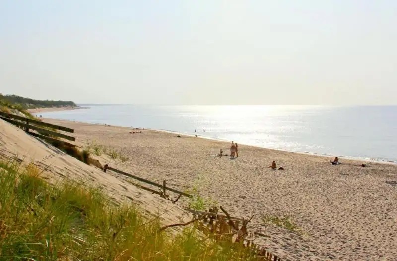 КУРШАЛЕ