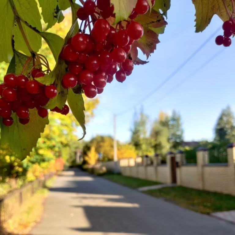 БАШНЯ В ЦАРИЦЫНО