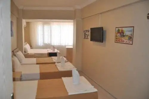 OMEGA INN