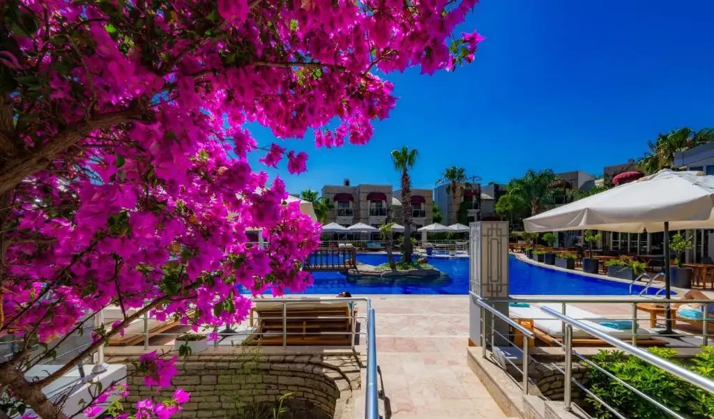 BODRIUM HOTEL & SPA BOUTIQUE