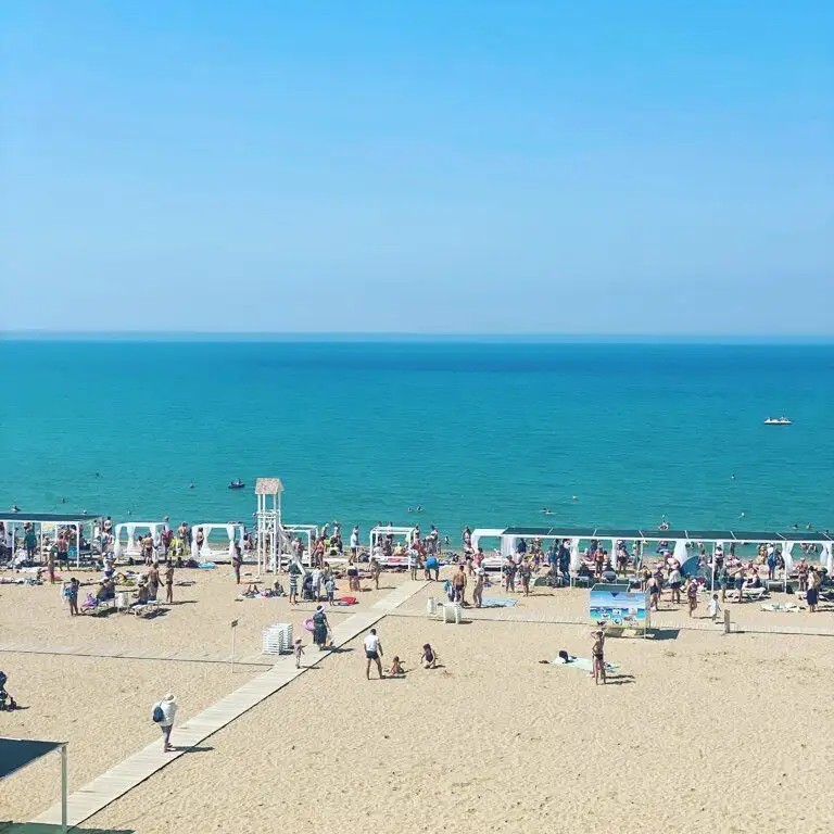 КРЫМСКАЯ РОМАШКА