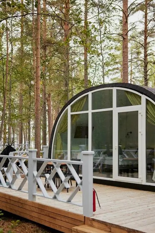 ХВОЯ КАРЕЛИЯ