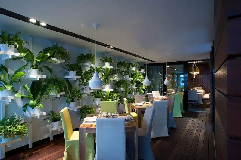 ALEKSANDAR RAFAILOVICHI