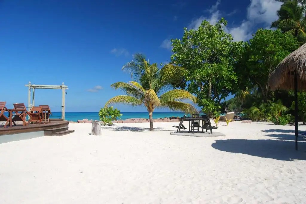 THE ISLANDER