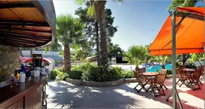 ONURA TATIL KOYU