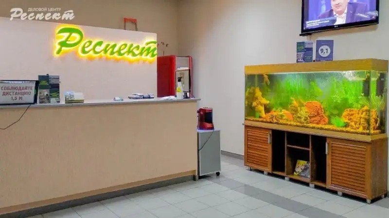 RESPECT (РЕСПЕКТ)