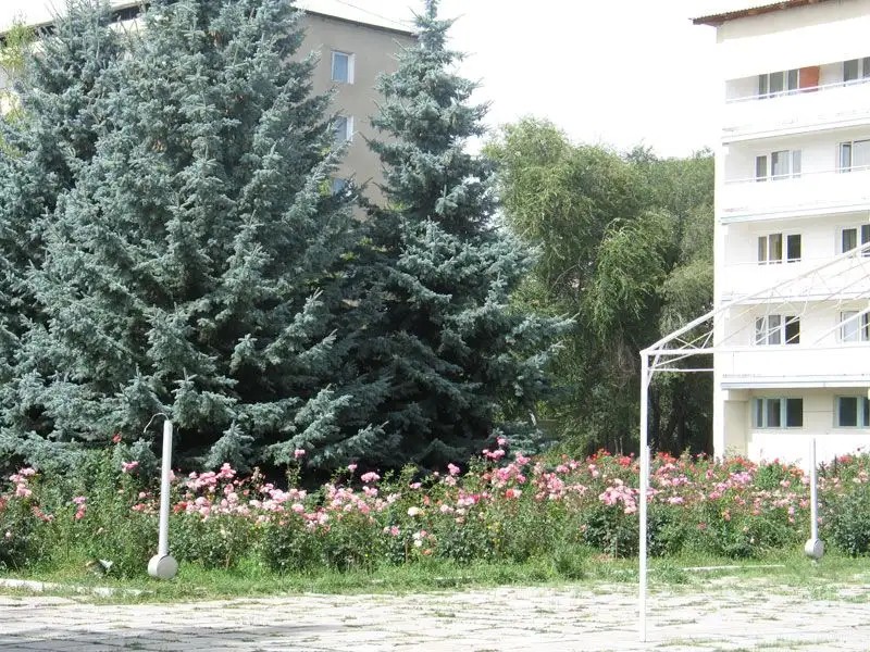 АСЫЛ-ТАШ