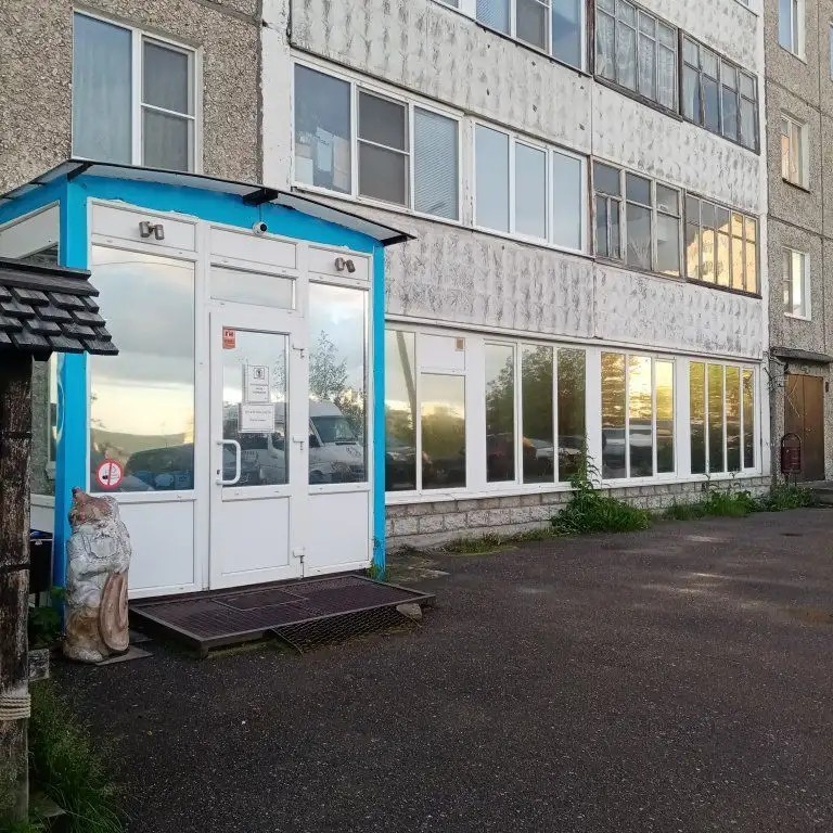 СНЕГИРИ МУРМАНСК
