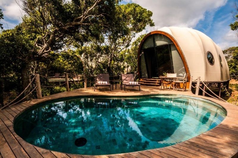 cocoon pool suite