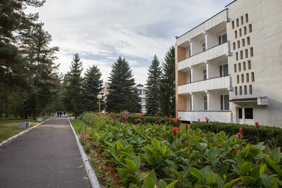 БЕРЕСТЬЕ