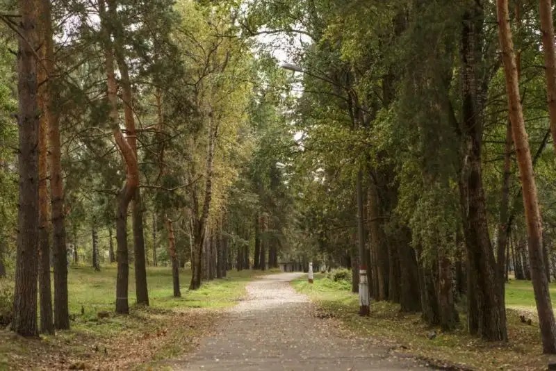 БОРОВОЕ