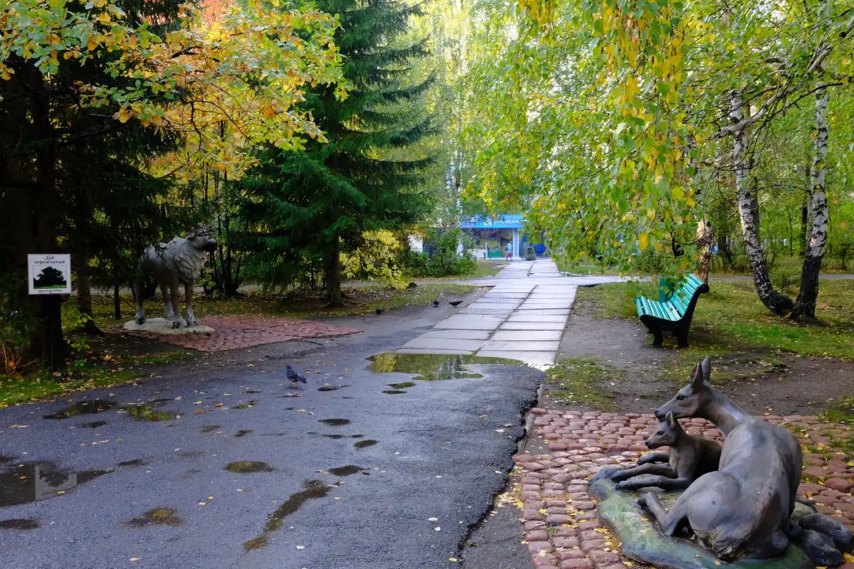 КАРАГАЙСКИЙ БОР