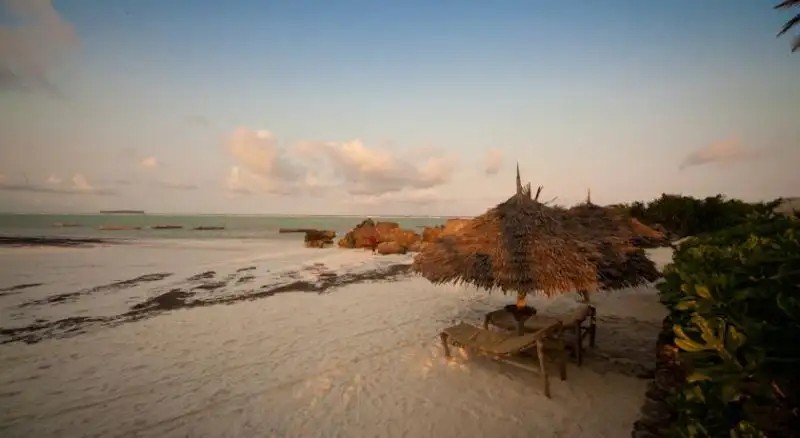 GREEN AND BLUE ZANZIBAR OCEAN LODGE