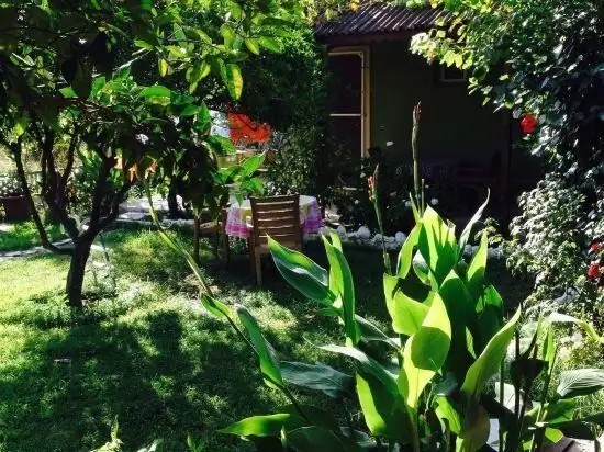 GELINCIK PANSIYON