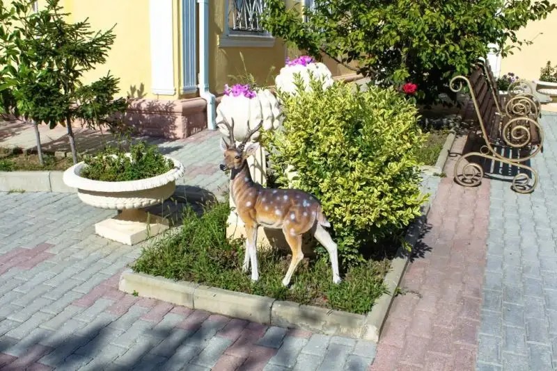 НОЙ ПЛЮС