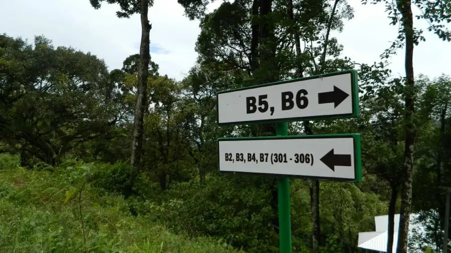 DEEP WOODS RESORT