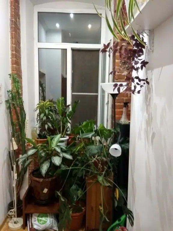НА СУХАРЕВКЕ