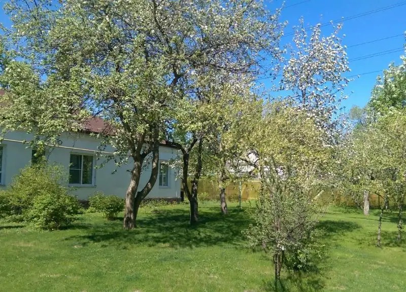 БЕРКАНА