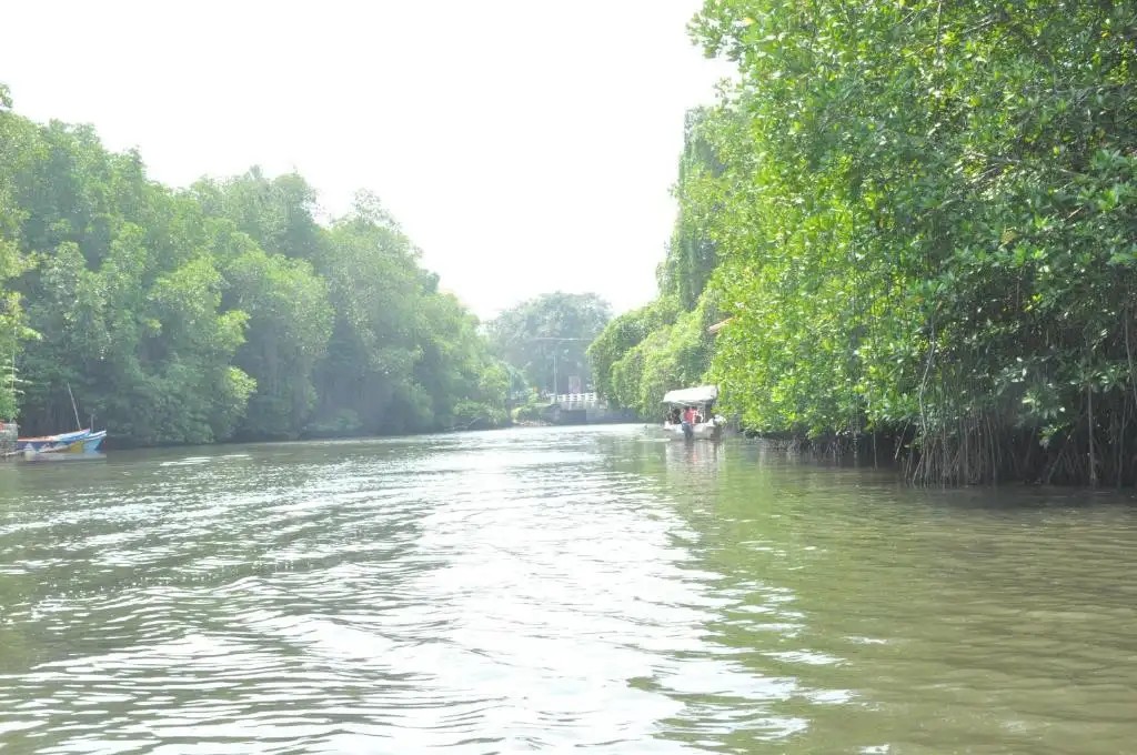 AHYORA RIVER RESORT (EX. MUTHUMUNI AYURVEDA RIVER RESORT)