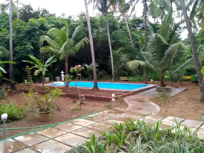 MORJIM PLAZA