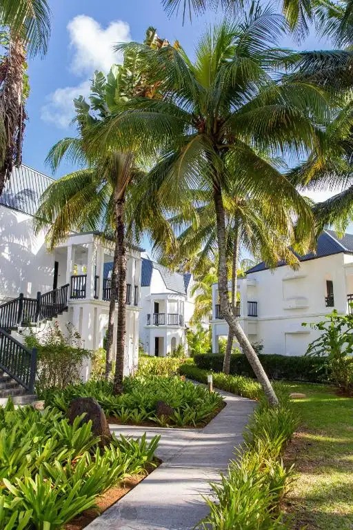 THE RAVENALA ATTITUDE (EX. LA PLANTATION)