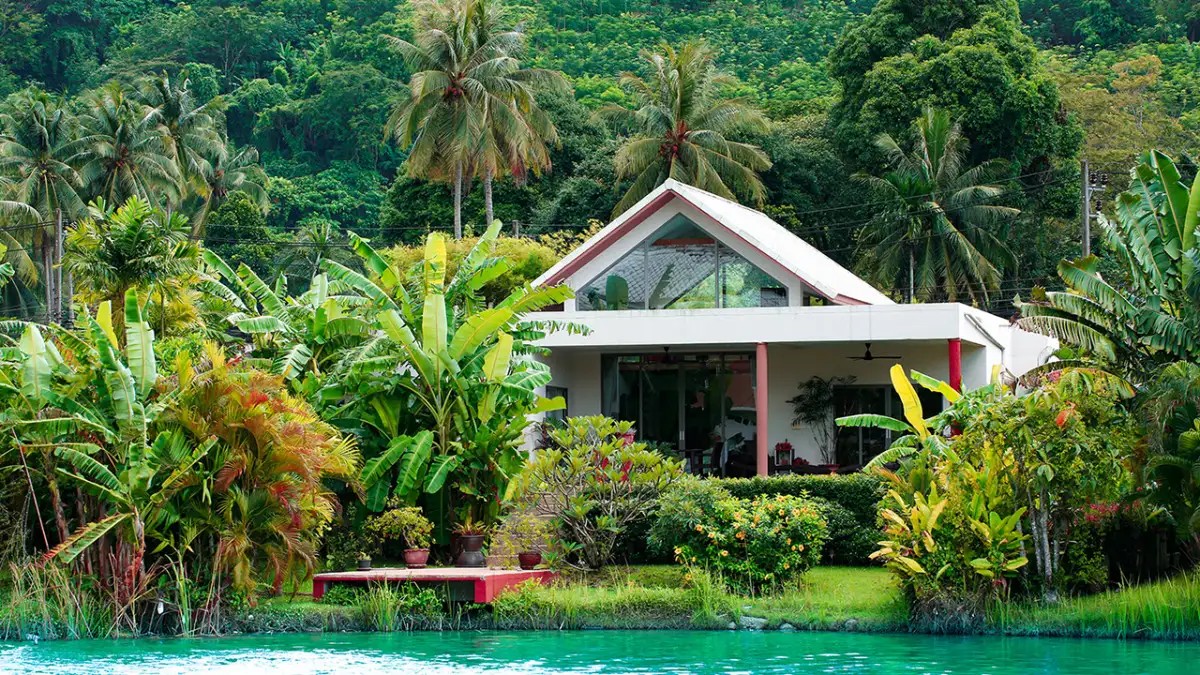 THELIFECO WELLBEING DETOX CENTER