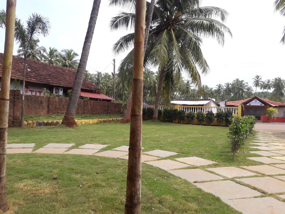 LA VEGA RESORT