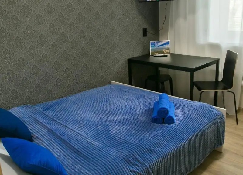 НА УЛИЦЕ МИЗЮКОВА