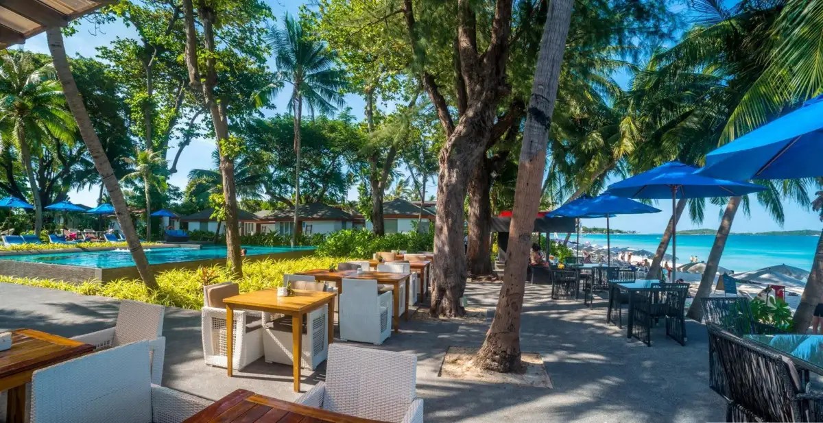 SYNERGY SAMUI
