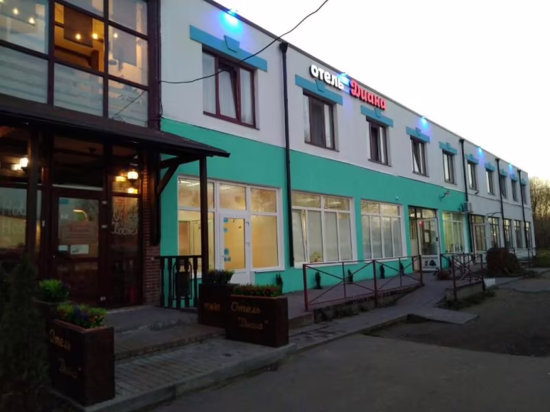 ДИАНА КОТЕЛЬНИКИ